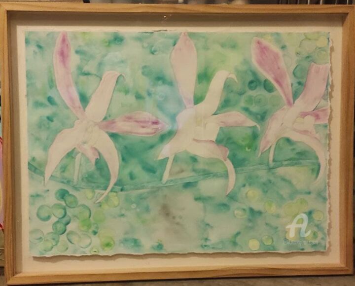 Pintura intitulada "Orchid #3" por Charlotte Lenssen, Obras de arte originais, Aquarela