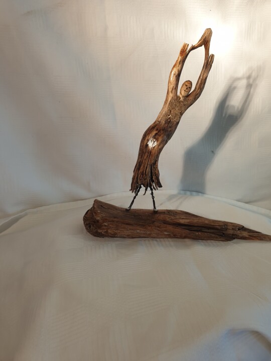 Escultura titulada "Etirement" por Charly Carpentier, Obra de arte original, Madera