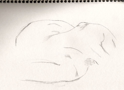 Desenho intitulada "Nude_Male_on_Floor.…" por Cheryl Townsend, Obras de arte originais, Outro