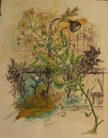 Drawing titled "plants" by Richard Raveen Chester, Original Artwork