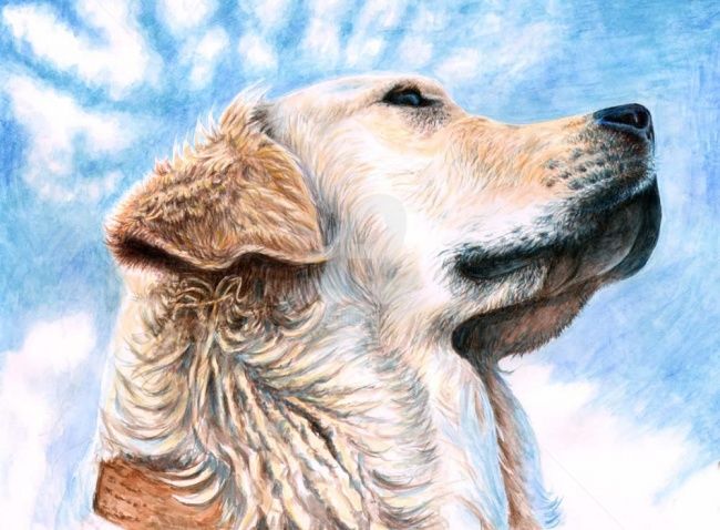 Pittura intitolato "Golden Retriever" da Arts & Dogs, Opera d'arte originale, Olio