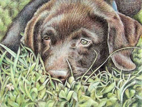 Pintura intitulada "Labrador Puppy" por Arts & Dogs, Obras de arte originais, Óleo