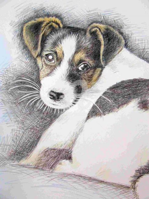 Painting titled "Jack Russell Puppy" by Arts & Dogs, Original Artwork, Oil