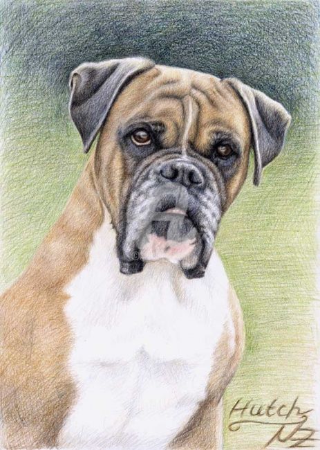 Malerei mit dem Titel "Boxer Hutch" von Arts & Dogs, Original-Kunstwerk, Öl