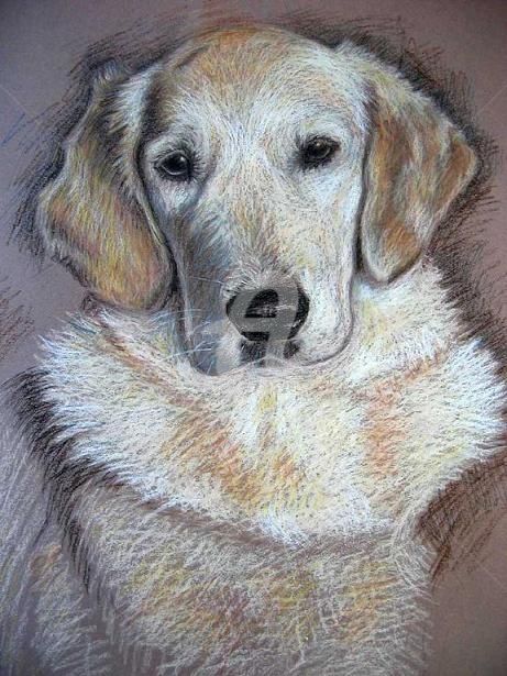 Pintura titulada "Golden Retriever 2" por Arts & Dogs, Obra de arte original, Oleo