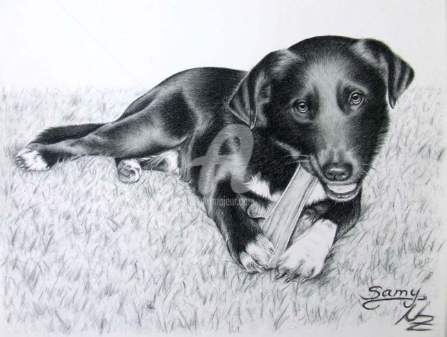 Pintura intitulada "Labrador Samy" por Arts & Dogs, Obras de arte originais, Óleo
