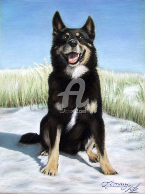 Malerei mit dem Titel "Timmy" von Arts & Dogs, Original-Kunstwerk, Öl