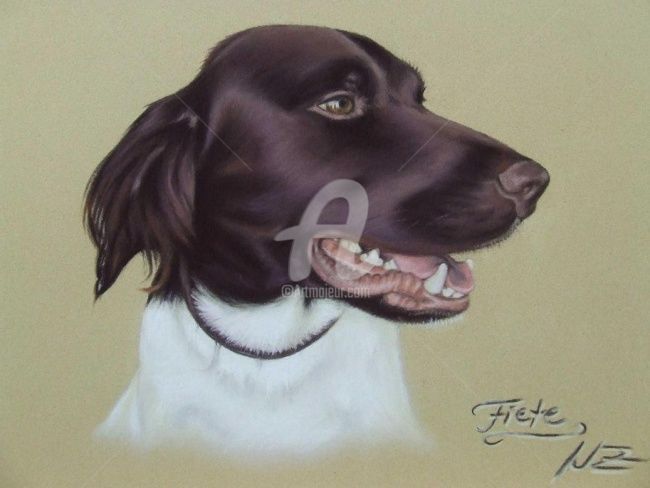 Painting titled "Münsterländer" by Arts & Dogs, Original Artwork, Oil