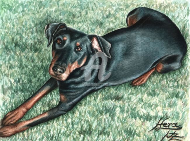 Peinture intitulée "Dobermann" par Arts & Dogs, Œuvre d'art originale, Huile