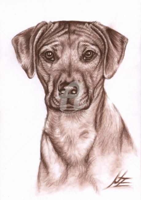 Картина под названием "Rhodesian Ridgeback…" - Arts & Dogs, Подлинное произведение искусства, Масло