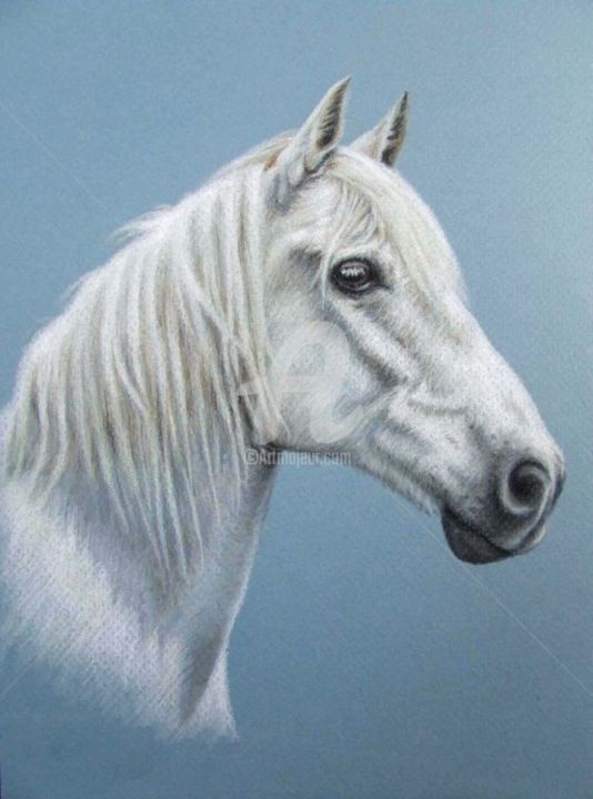 Painting titled "White Stallion" by Arts & Dogs, Original Artwork, Oil