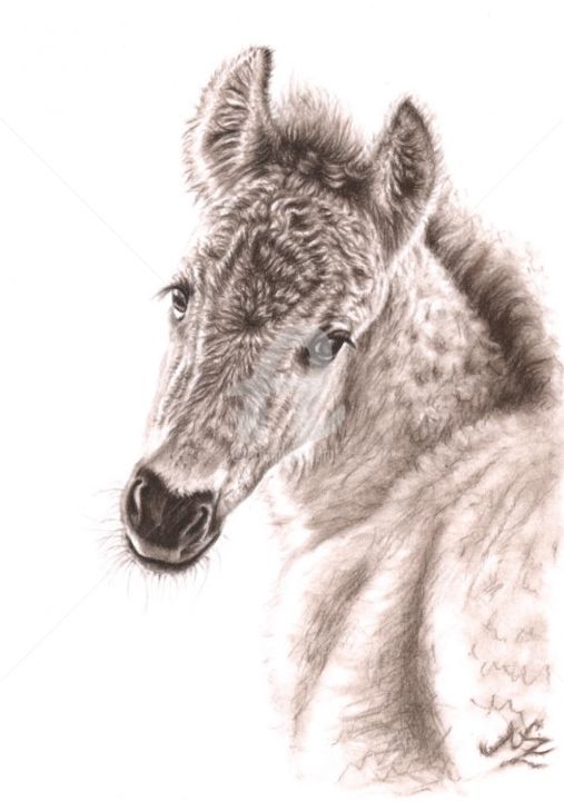 Pintura titulada "Wildhorse Foal" por Arts & Dogs, Obra de arte original, Oleo