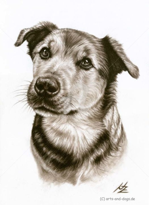 Pintura titulada "Dogs Eyes" por Arts & Dogs, Obra de arte original, Oleo