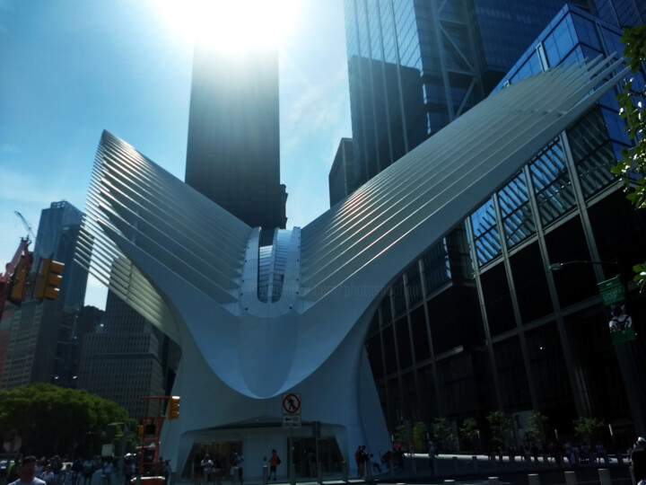 Photography titled ""The Oculus"   [New…" by China Alicia Rivera, Original Artwork
