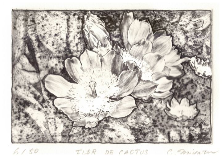 Gravures & estampes intitulée "" Flor de Cactus "" par Chinami Miyata, Œuvre d'art originale, Gravure