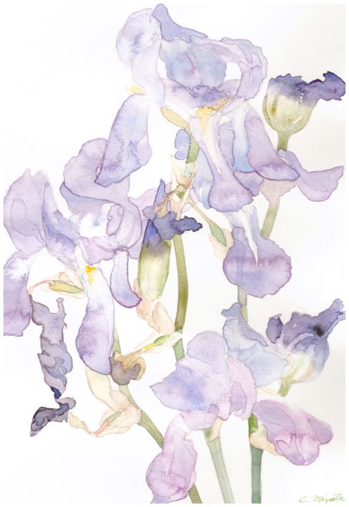 Pittura intitolato "" Iris "" da Chinami Miyata, Opera d'arte originale, Acquarello