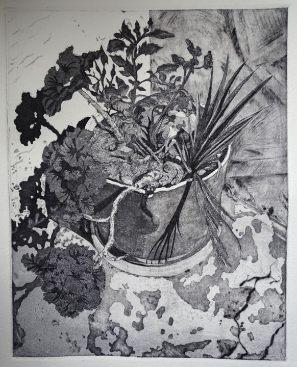 Printmaking titled "Vaso di piante con…" by Chinami Miyata, Original Artwork, Engraving