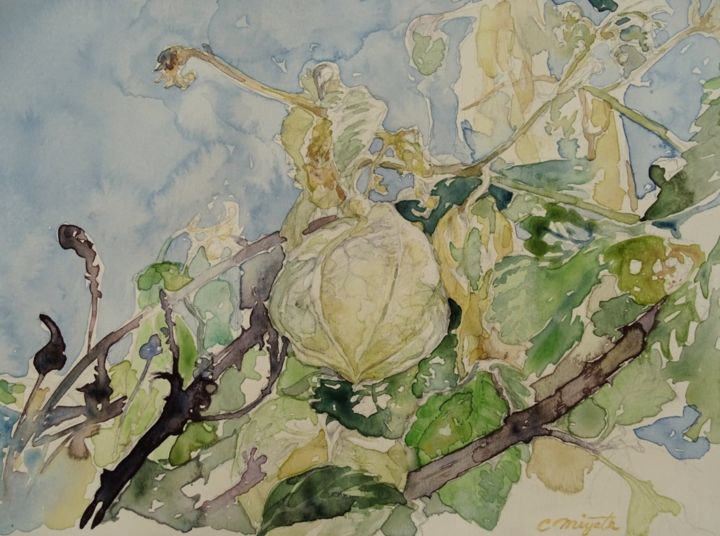 Pintura titulada "Pianta di palloncin…" por Chinami Miyata, Obra de arte original, Acuarela