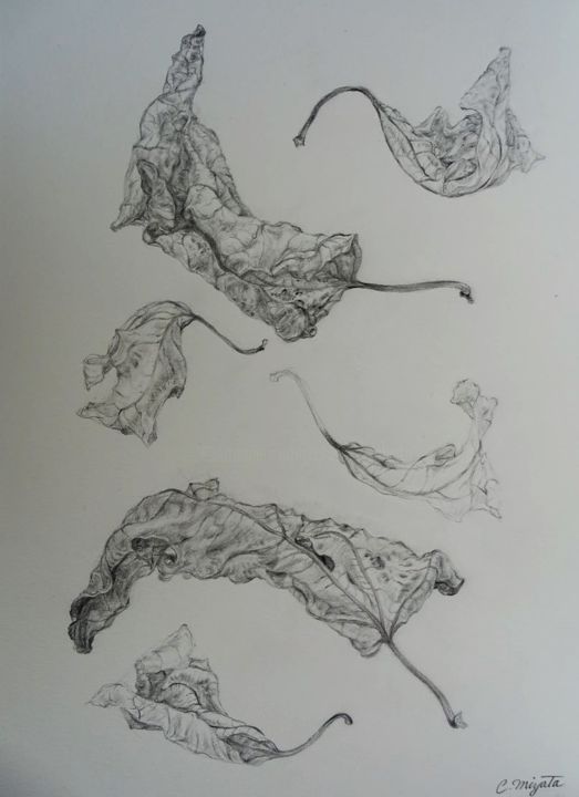 Drawing titled "Foglie di fico" by Chinami Miyata, Original Artwork, Pencil