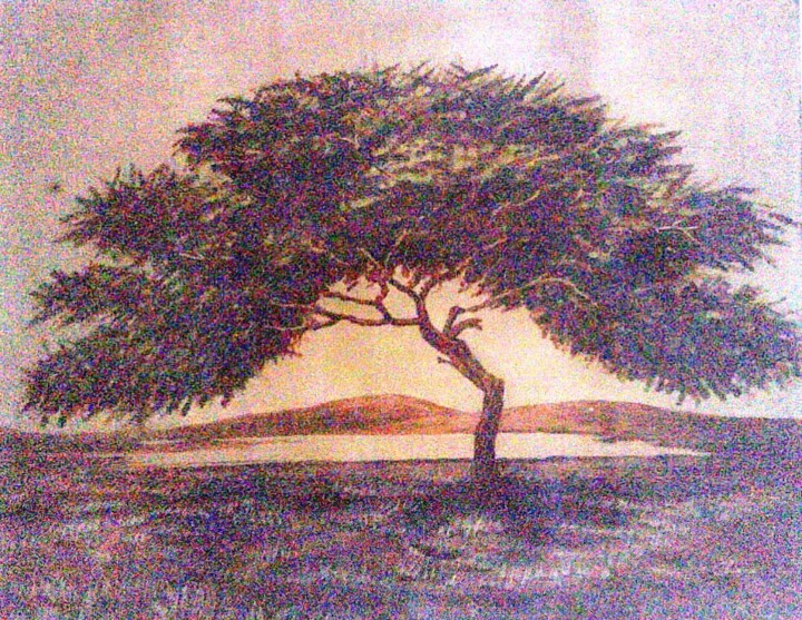 Painting titled "lonely-tree.jpg" by Chinmaya Br, Original Artwork