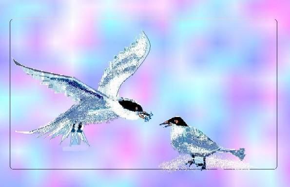 Digital Arts titled "Birds" by Anita Sanyal, Original Art,