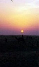 Фотография под названием "Sunset in the desert" - Anita Sanyal, Подлинное произведение искусства