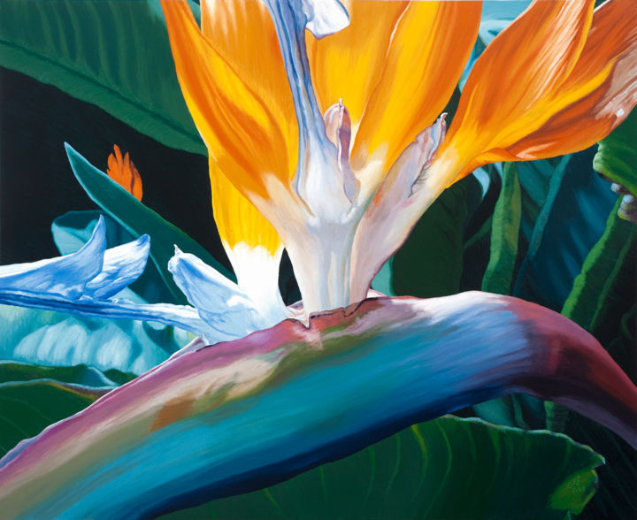 Painting titled "Giant Bird Of Parad…" by Chloe Hedden, Original Art, Oil