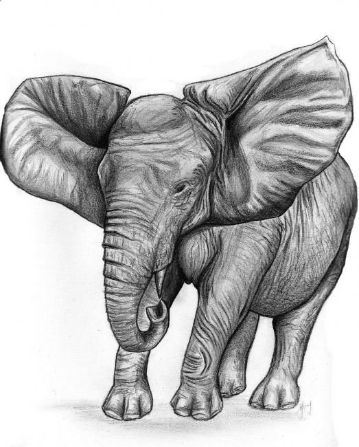 Pintura titulada "Elephant d'Afrique" por Chloe Yzoard, Obra de arte original, Oleo