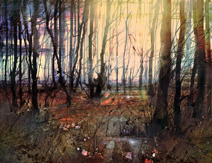 Pittura intitolato "Dawn in The Forest" da Chris Hill, Opera d'arte originale, Acquarello