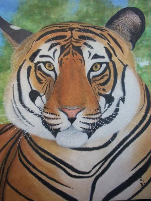Painting titled "le tigre des indes" by Chris-R, Original Artwork