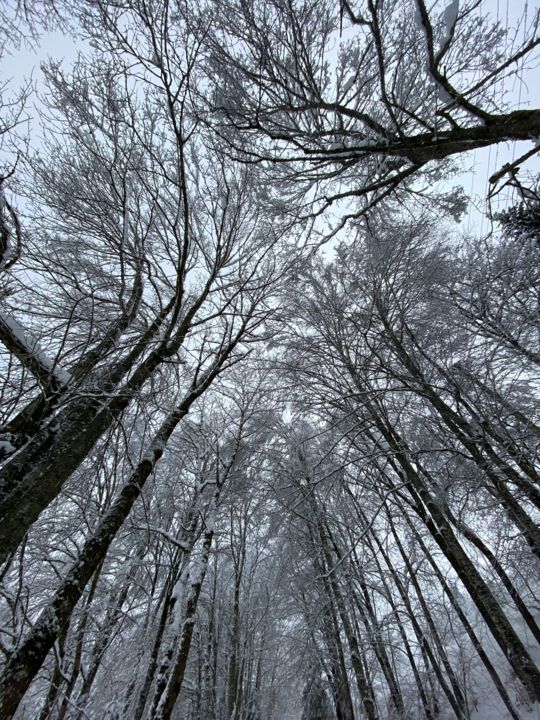 제목이 "Calme"인 사진 Chris로, 원작, 디지털