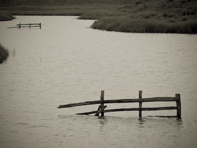 Photography titled "Water Fences" by Chris Eggleton, Original Artwork
