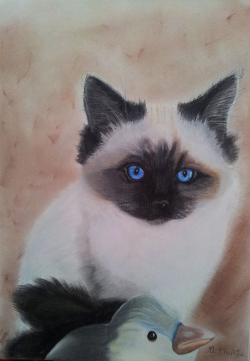 Peinture intitulée "Portrait chat sacré…" par M-Christa, Œuvre d'art originale, Huile