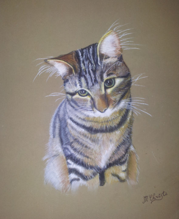 Portrait Chat Pastel Sec Painting By M Christa Artmajeur Portrait Chat Pastel Sec Painting By M Christa Artmajeur