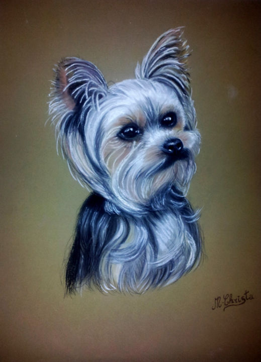 Peinture intitulée "Portrait chien york…" par M-Christa, Œuvre d'art originale, Huile
