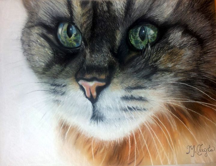 Painting titled "chat au pastel sec" by M-Christa, Original Artwork, Oil