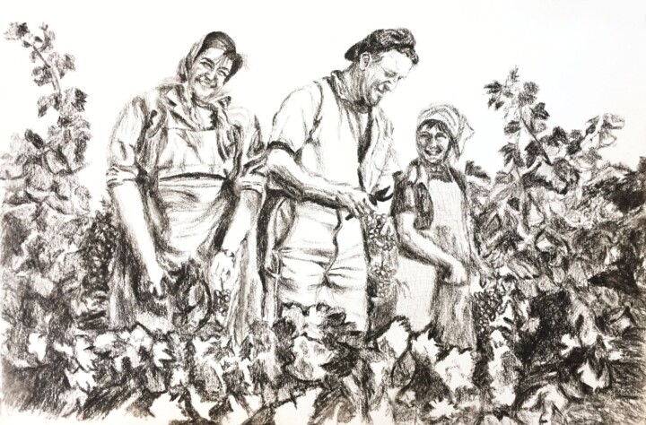 Dibujo titulada "Vendanges en Famill…" por Christel Alcala, Obra de arte original, Carbón
