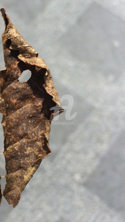 Photographie intitulée "...la nature" par Christelle Crokaert, Œuvre d'art originale