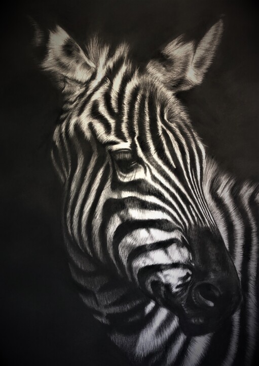 Drawing titled "Perseverance" by Christelle Rossi Ligouzat (Chris Rossi), Original Artwork, Charcoal