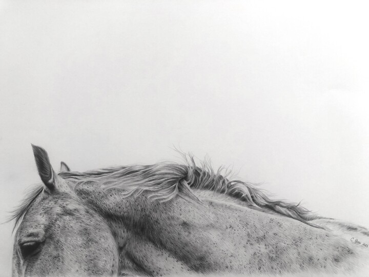 Dessin intitulée "Sérénité" par Christelle Rossi Ligouzat (Chris Rossi), Œuvre d'art originale, Graphite