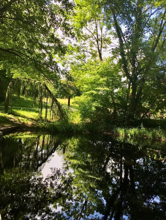 Φωτογραφία με τίτλο "the pond of my chil…" από Christelle Marini, Αυθεντικά έργα τέχνης, Μη χειραγωγημένη φωτογραφία