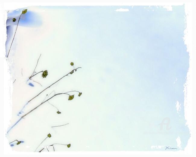 Peinture intitulée "Tournesols en hiver" par Christian Boulad (Xian), Œuvre d'art originale, Huile