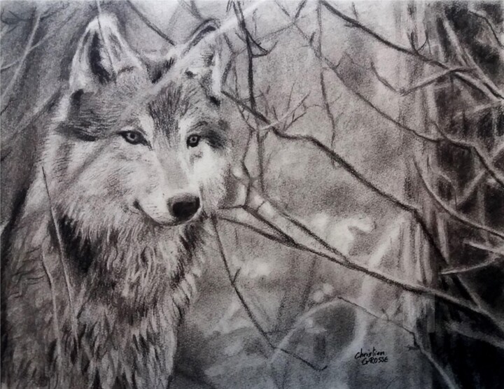 Loup Dans La Forêt Dessin Par Christian Grosse Artmajeur
