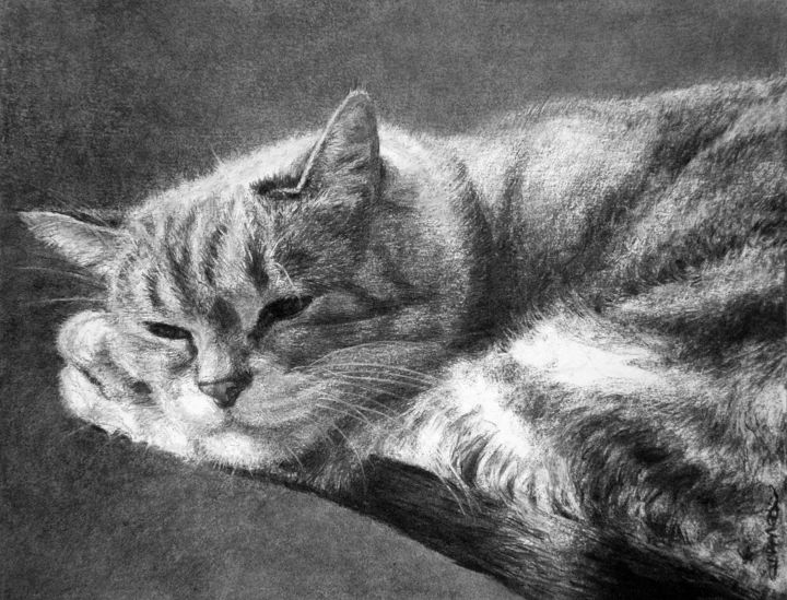 Zeichnungen mit dem Titel "le chat 2" von Christian Rolland, Original-Kunstwerk, Kohle