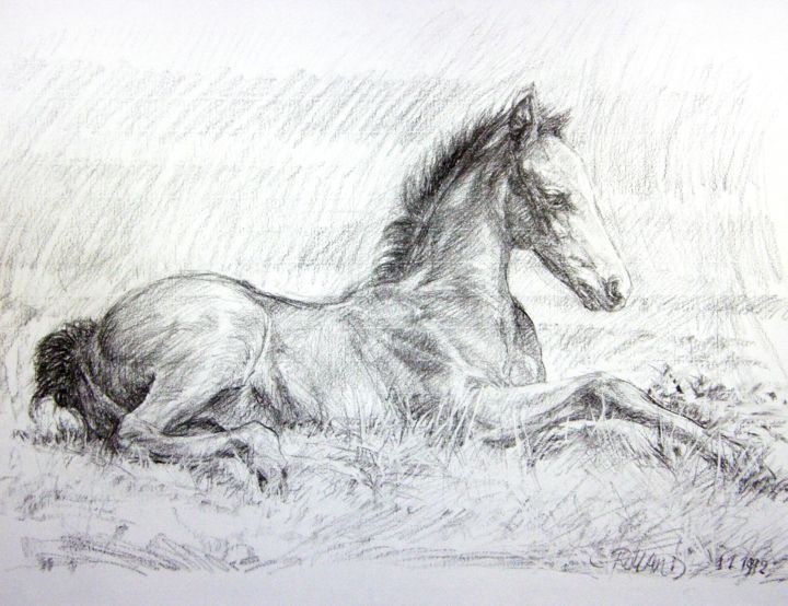 Drawing titled "équidé 1992 1 (7)" by Christian Rolland, Original Artwork, Charcoal