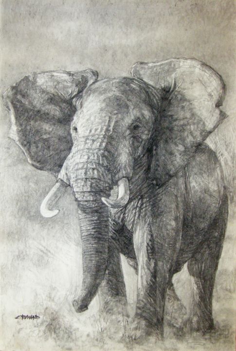 Dessin intitulée "éléphant 1" par Christian Rolland, Œuvre d'art originale, Fusain