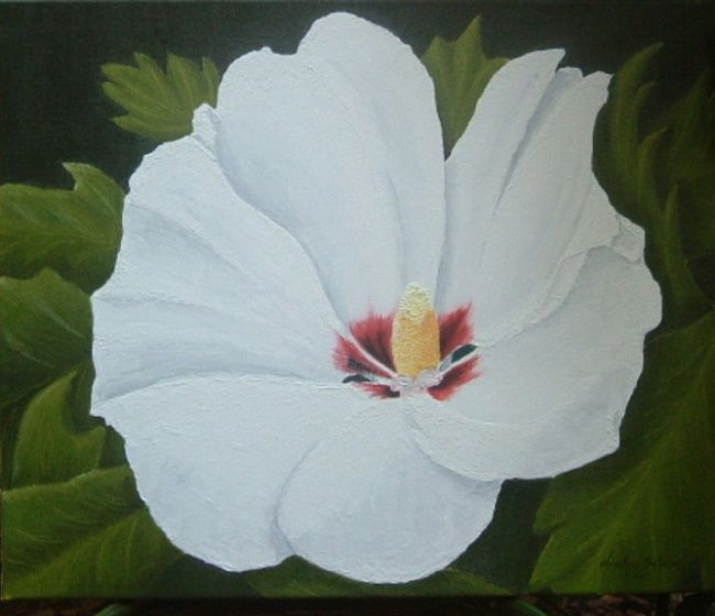 Painting titled "ibiscus blanc" by Christian Salaun, Original Artwork
