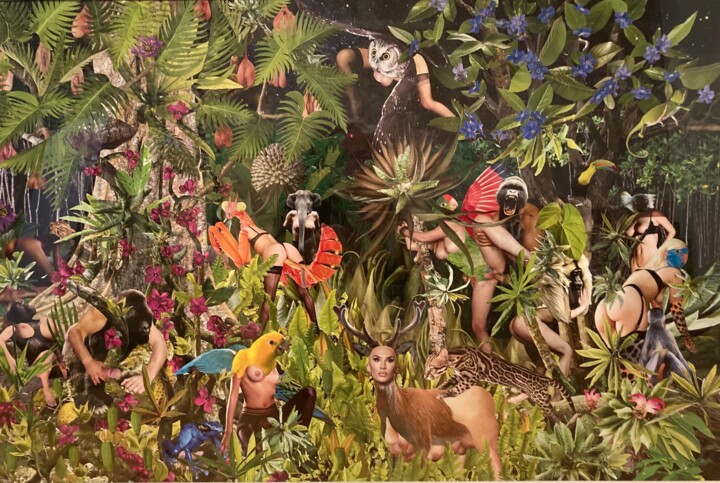 Kolaże zatytułowany „Bungle in the jungle” autorstwa Christian Schanze, Oryginalna praca, Kolaże Zamontowany na Aluminium
