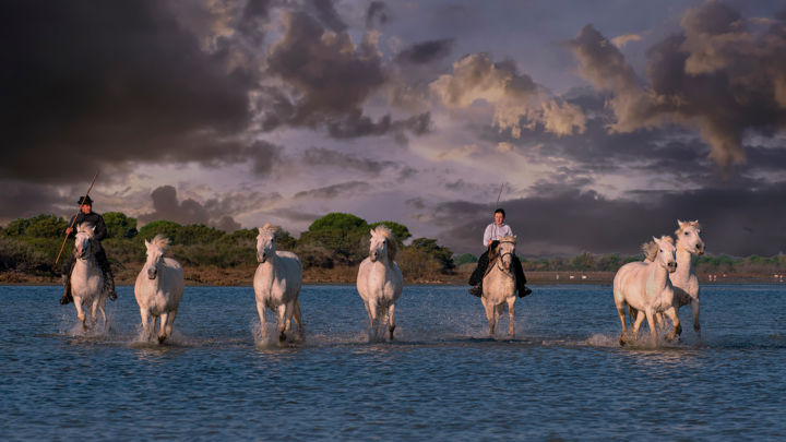 Photography titled "Camargue" by Christian Testaniere, Original Artwork, Digital Photography