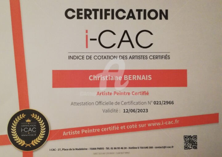 Картина под названием "Certification" - Christiane Bernais, Подлинное произведение искусства, Акрил
